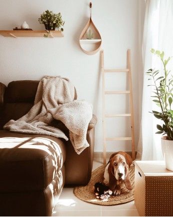 Tolkien - Escalera de madera maciza en tono natural de 150x41cm
