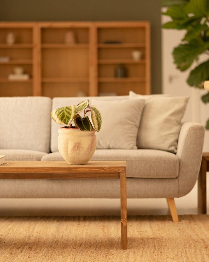 Denia - Mesa de centro de madera maciza en tono roble oscuro de 110x45x35cm